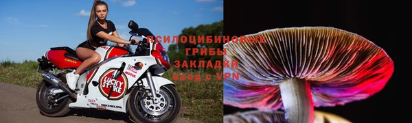 круглые Алексин