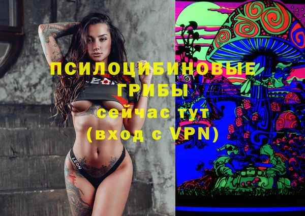 трава Арсеньев