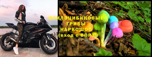 трава Арсеньев