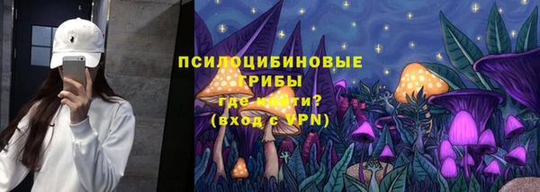 спиды Алзамай